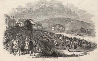 Goodwood Races: The Course, from 